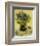 Still Life, c.1888-Vincent van Gogh-Framed Art Print