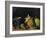 Still Life, circa 1865-Paul Cézanne-Framed Giclee Print