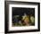 Still Life, circa 1865-Paul Cézanne-Framed Giclee Print