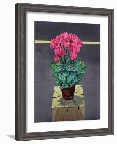 Still Life Cyclamen-Christopher Ryland-Framed Giclee Print