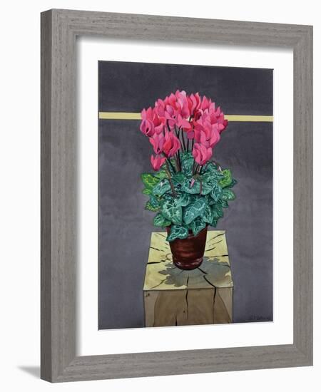 Still Life Cyclamen-Christopher Ryland-Framed Giclee Print