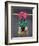 Still Life Cyclamen-Christopher Ryland-Framed Giclee Print