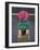 Still Life Cyclamen-Christopher Ryland-Framed Giclee Print