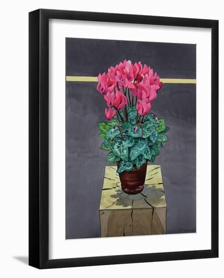 Still Life Cyclamen-Christopher Ryland-Framed Giclee Print