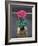 Still Life Cyclamen-Christopher Ryland-Framed Giclee Print