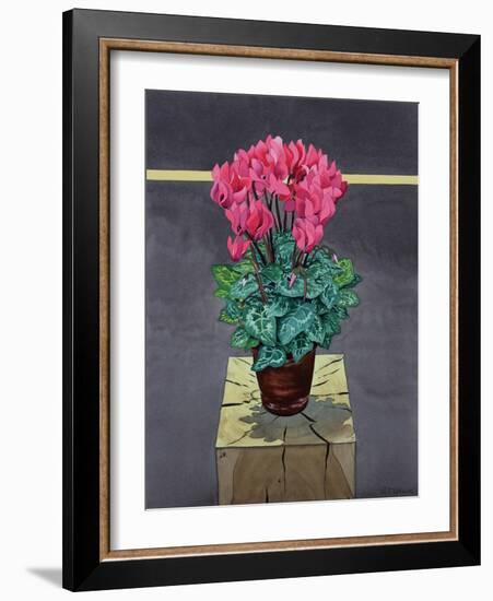 Still Life Cyclamen-Christopher Ryland-Framed Giclee Print