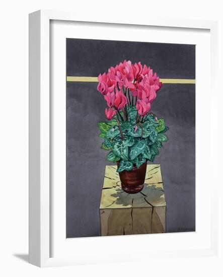 Still Life Cyclamen-Christopher Ryland-Framed Giclee Print