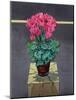 Still Life Cyclamen-Christopher Ryland-Mounted Giclee Print