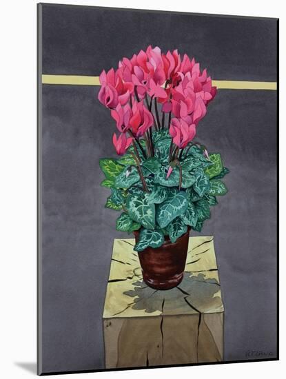 Still Life Cyclamen-Christopher Ryland-Mounted Giclee Print