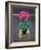 Still Life Cyclamen-Christopher Ryland-Framed Giclee Print