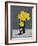 Still Life Daffodils-Christopher Ryland-Framed Giclee Print