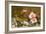 Still Life Depicting Flowers, Shells and a Dragonfly-Balthasar van der Ast-Framed Giclee Print