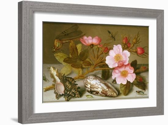 Still Life Depicting Flowers, Shells and a Dragonfly-Balthasar van der Ast-Framed Giclee Print