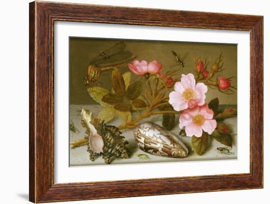 Still Life Depicting Flowers, Shells and a Dragonfly-Balthasar van der Ast-Framed Giclee Print