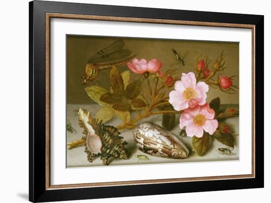 Still Life Depicting Flowers, Shells and a Dragonfly-Balthasar van der Ast-Framed Giclee Print