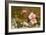 Still Life Depicting Flowers, Shells and a Dragonfly-Balthasar van der Ast-Framed Giclee Print