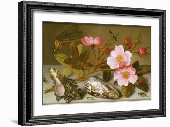 Still Life Depicting Flowers, Shells and a Dragonfly-Balthasar van der Ast-Framed Giclee Print