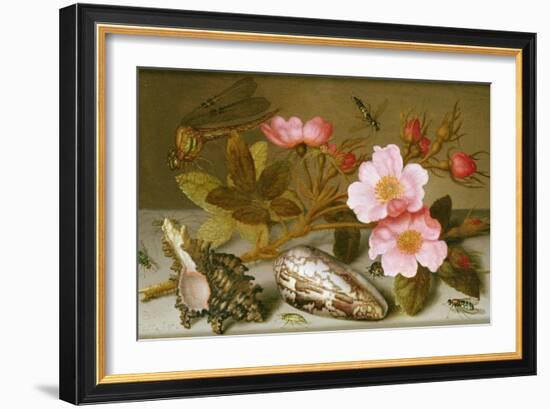 Still Life Depicting Flowers, Shells and a Dragonfly-Balthasar van der Ast-Framed Giclee Print