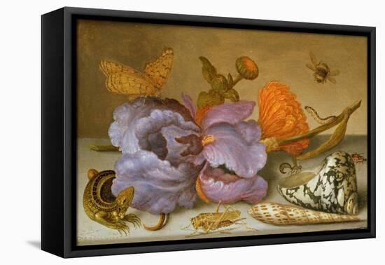 Still Life Depicting Flowers, Shells and Insects (Oil on Copper) (For Pair See 251378)-Balthasar van der Ast-Framed Premier Image Canvas