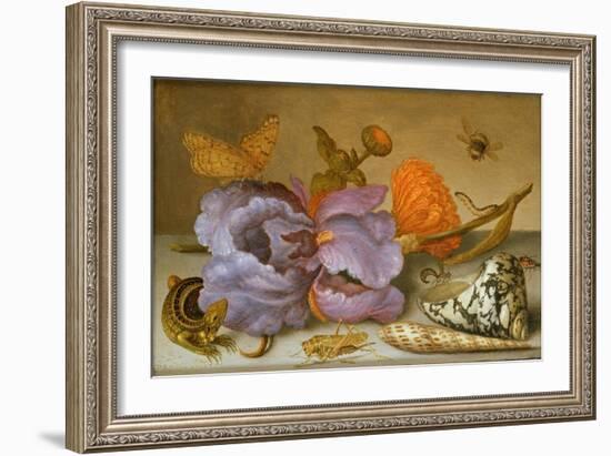 Still Life Depicting Flowers, Shells and Insects (Oil on Copper) (For Pair See 251378)-Balthasar van der Ast-Framed Giclee Print