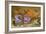 Still Life Depicting Flowers, Shells and Insects (Oil on Copper) (For Pair See 251378)-Balthasar van der Ast-Framed Giclee Print