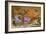 Still Life Depicting Flowers, Shells and Insects (Oil on Copper) (For Pair See 251378)-Balthasar van der Ast-Framed Giclee Print