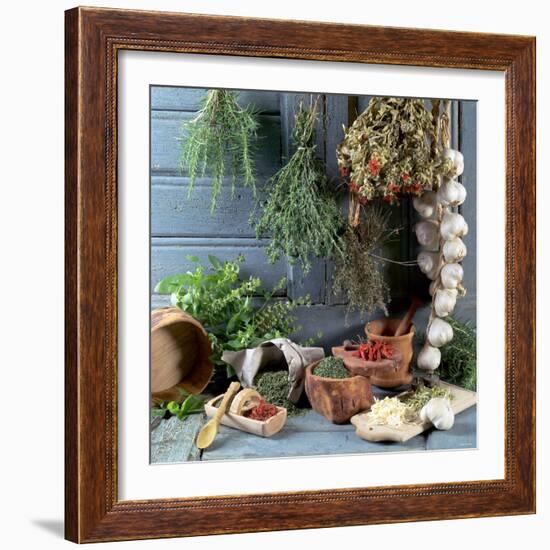 Still Life: Drying Herbs and Spices-null-Framed Photographic Print