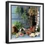 Still Life: Drying Herbs and Spices-null-Framed Photographic Print