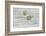 Still Life, EfeublŸten, Green, Wood, White-Andrea Haase-Framed Photographic Print