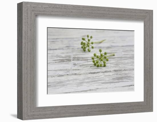 Still Life, EfeublŸten, Green, Wood, White-Andrea Haase-Framed Photographic Print