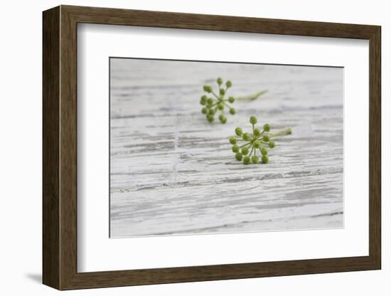 Still Life, EfeublŸten, Green, Wood, White-Andrea Haase-Framed Photographic Print