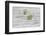 Still Life, EfeublŸten, Green, Wood, White-Andrea Haase-Framed Photographic Print