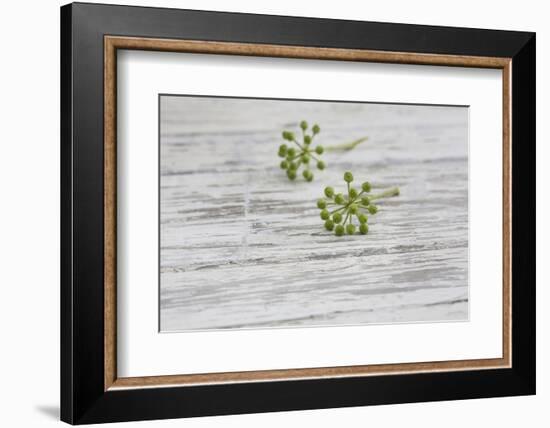 Still Life, EfeublŸten, Green, Wood, White-Andrea Haase-Framed Photographic Print