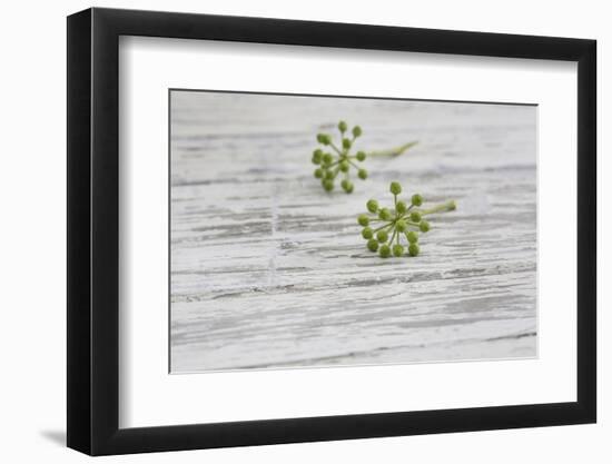 Still Life, EfeublŸten, Green, Wood, White-Andrea Haase-Framed Photographic Print