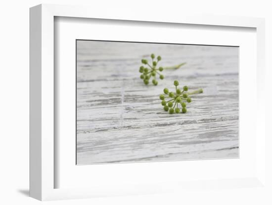 Still Life, EfeublŸten, Green, Wood, White-Andrea Haase-Framed Photographic Print