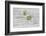 Still Life, EfeublŸten, Green, Wood, White-Andrea Haase-Framed Photographic Print