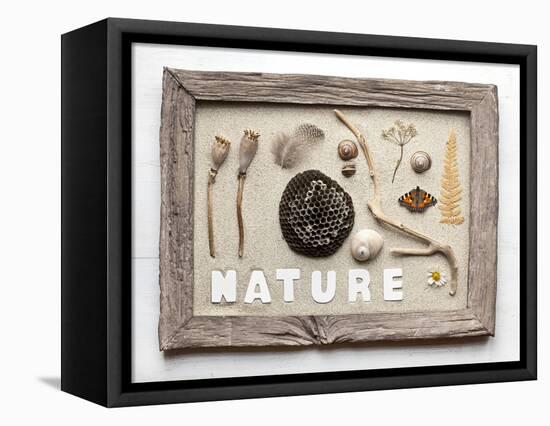 Still Life, Frame, Collection, Natural Materials-Andrea Haase-Framed Premier Image Canvas