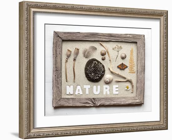 Still Life, Frame, Collection, Natural Materials-Andrea Haase-Framed Photographic Print