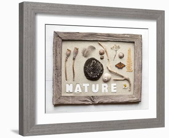 Still Life, Frame, Collection, Natural Materials-Andrea Haase-Framed Photographic Print