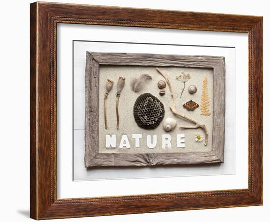 Still Life, Frame, Collection, Natural Materials-Andrea Haase-Framed Photographic Print