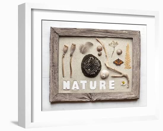 Still Life, Frame, Collection, Natural Materials-Andrea Haase-Framed Photographic Print