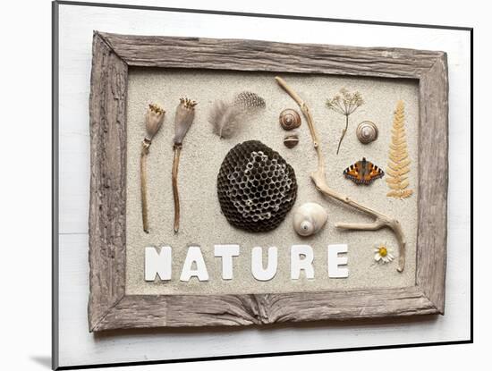 Still Life, Frame, Collection, Natural Materials-Andrea Haase-Mounted Photographic Print