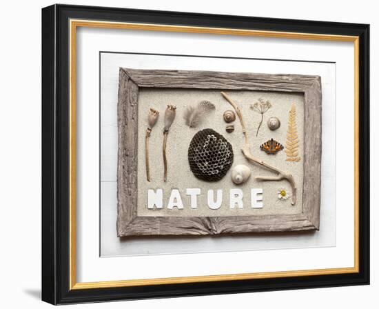 Still Life, Frame, Collection, Natural Materials-Andrea Haase-Framed Photographic Print