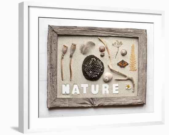 Still Life, Frame, Collection, Natural Materials-Andrea Haase-Framed Photographic Print