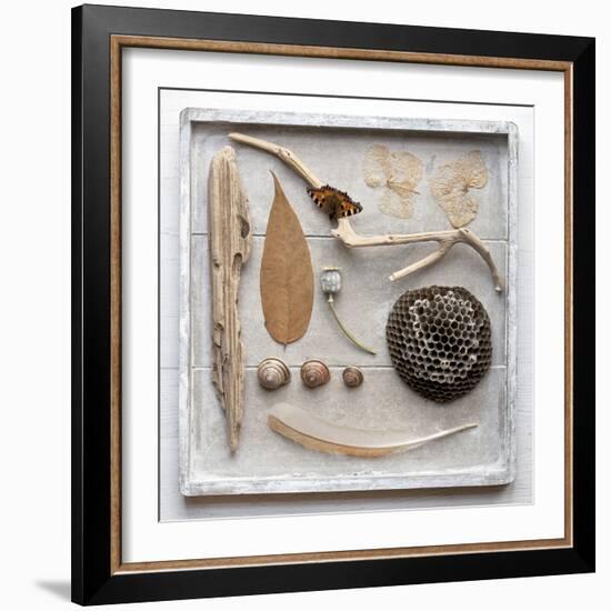 Still Life, Frame, Collection, Natural Materials-Andrea Haase-Framed Photographic Print