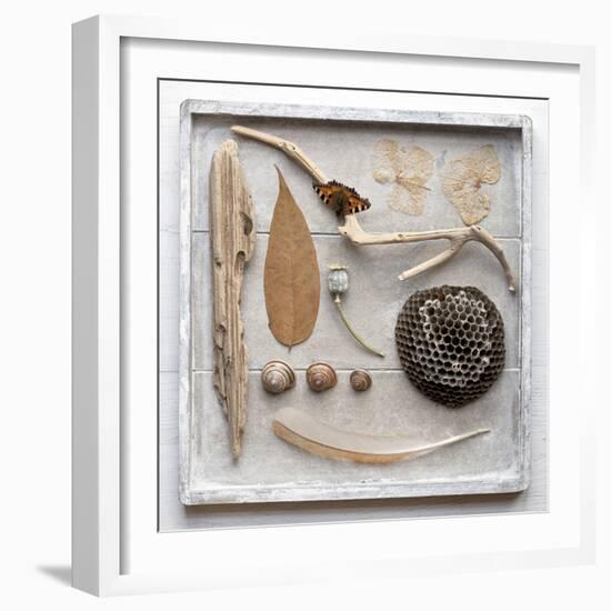 Still Life, Frame, Collection, Natural Materials-Andrea Haase-Framed Photographic Print