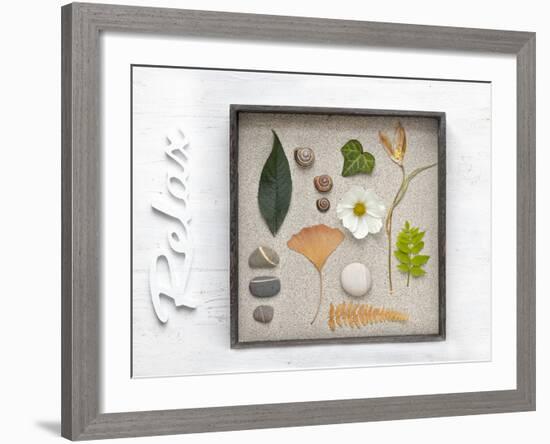 Still Life, Frames, Collection, Natural Materials, Stroke, 'Relax'-Andrea Haase-Framed Photographic Print