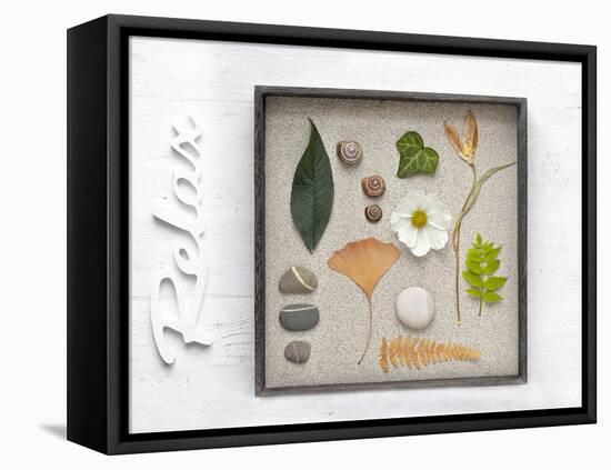 Still Life, Frames, Collection, Natural Materials, Stroke, 'Relax'-Andrea Haase-Framed Premier Image Canvas