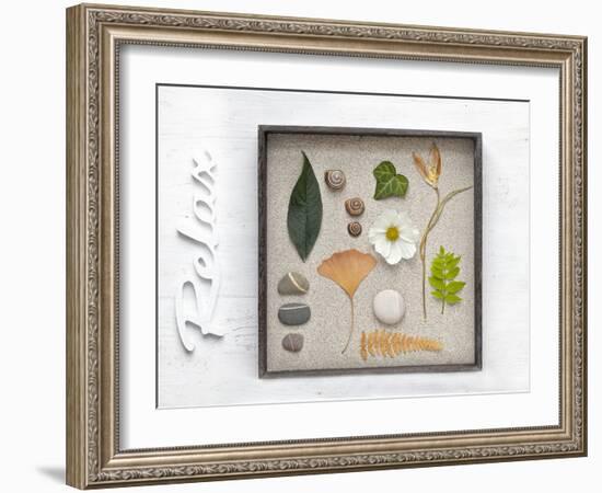 Still Life, Frames, Collection, Natural Materials, Stroke, 'Relax'-Andrea Haase-Framed Photographic Print