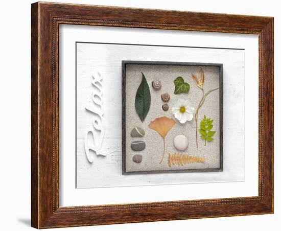 Still Life, Frames, Collection, Natural Materials, Stroke, 'Relax'-Andrea Haase-Framed Photographic Print